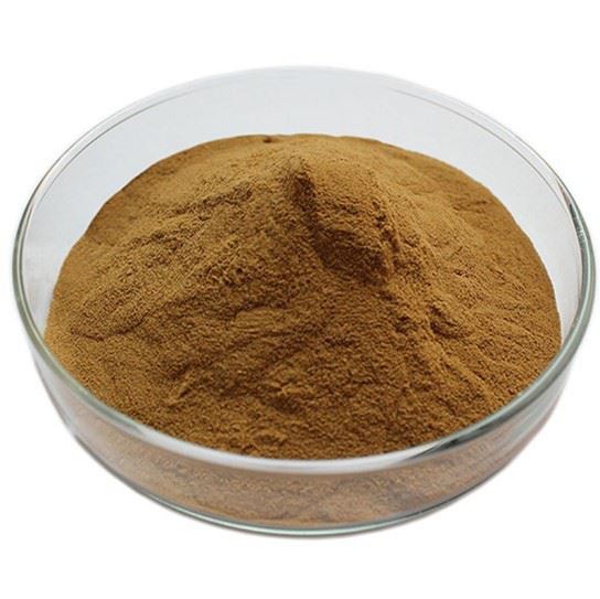 chaga extract