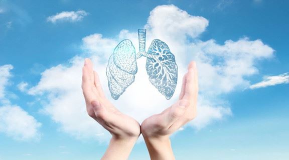 3 Ingredientes naturales-- beneficio para la función pulmonar