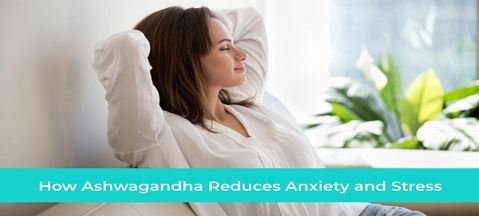 Ashwagandha: suplemento ideal para aliviar el estrés