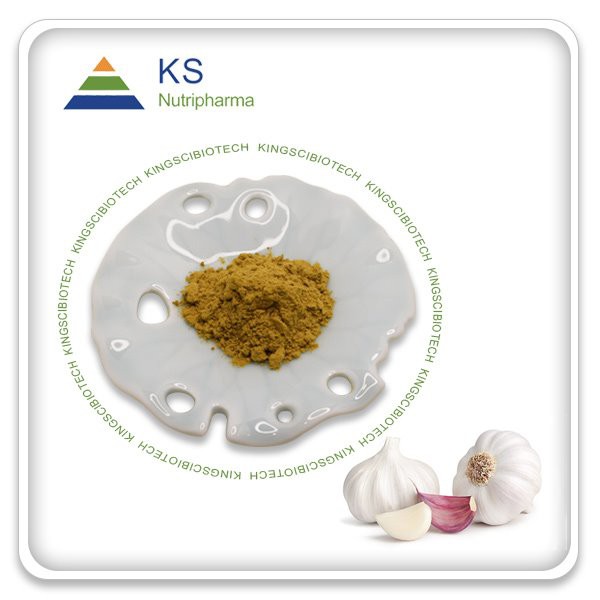 Polvo de extracto de ajo