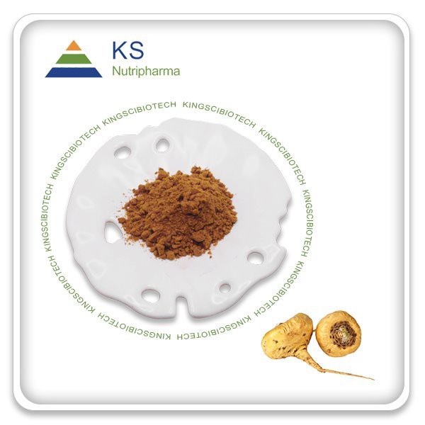 Maca Extract Powder