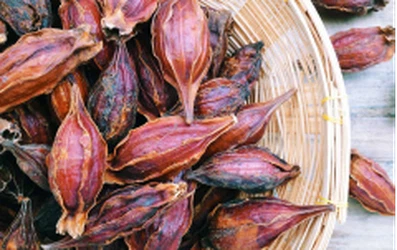 news-240-151 news-240-151