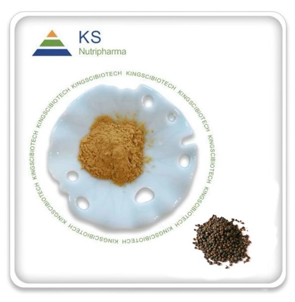 Extracto de pimienta negra en polvo